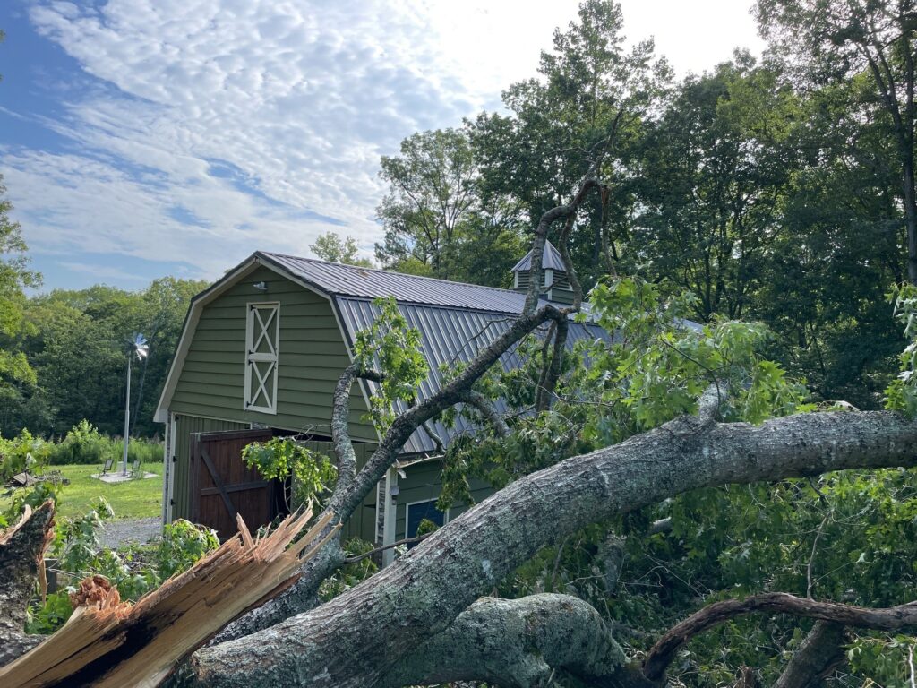 Storm Damage From Tree