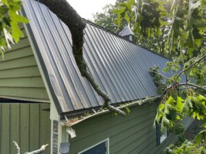 Tree Damage Roof