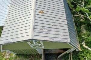 Tree Damage Metal roof 